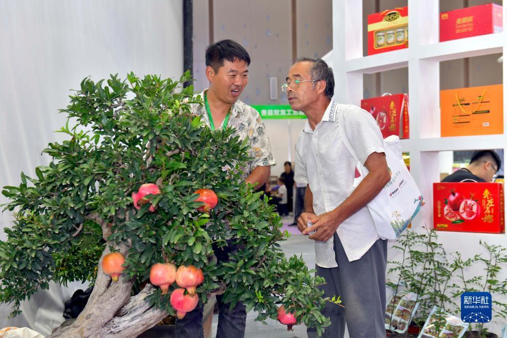 领38元救济金捕鱼